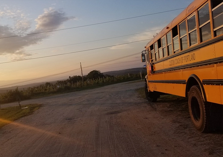 Custom Coach and Limousine School Bus 2